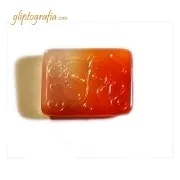 Γλυπτογραφία σφραγιδόλιθος Χταπόδι Γλυπτογραφία σφραγιδόλιθος Χταπόδι