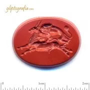 Lion fighting Bull