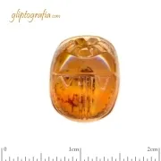 Scarab Scarab