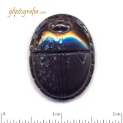 Scarab