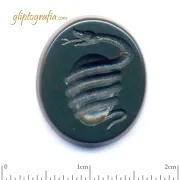 The egg and the serpent