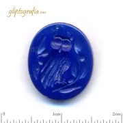 The owl of wisdom The owl of wisdom