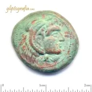 Alexander the great Alexander the great