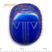 Scarab