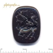 Zodiac - Sagittarius