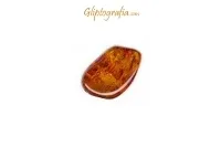 Carved Amber