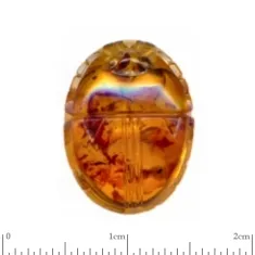 Scarab