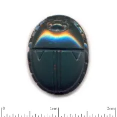 Scarab