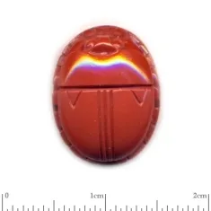 Scarab