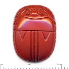 Scarab