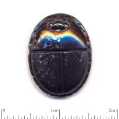 Scarab