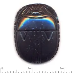 Scarab