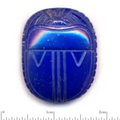 Scarab