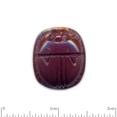 Scarab